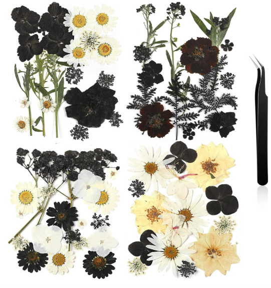 Nuanchu Pressed Flowers Dried Bulk